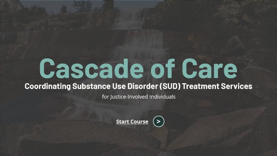Cascade of Care Course Image