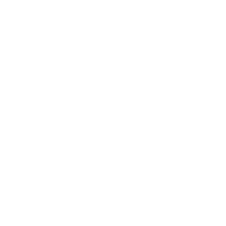 Justice System Partners
