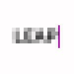 LEAP Logo