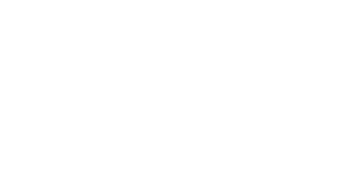 Slonky LLC logo