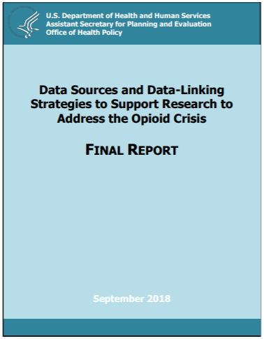 Cover image of Final Report for "Data Sources and Data-Linking Strategies to Support Research to Address the Opioid Crisis"