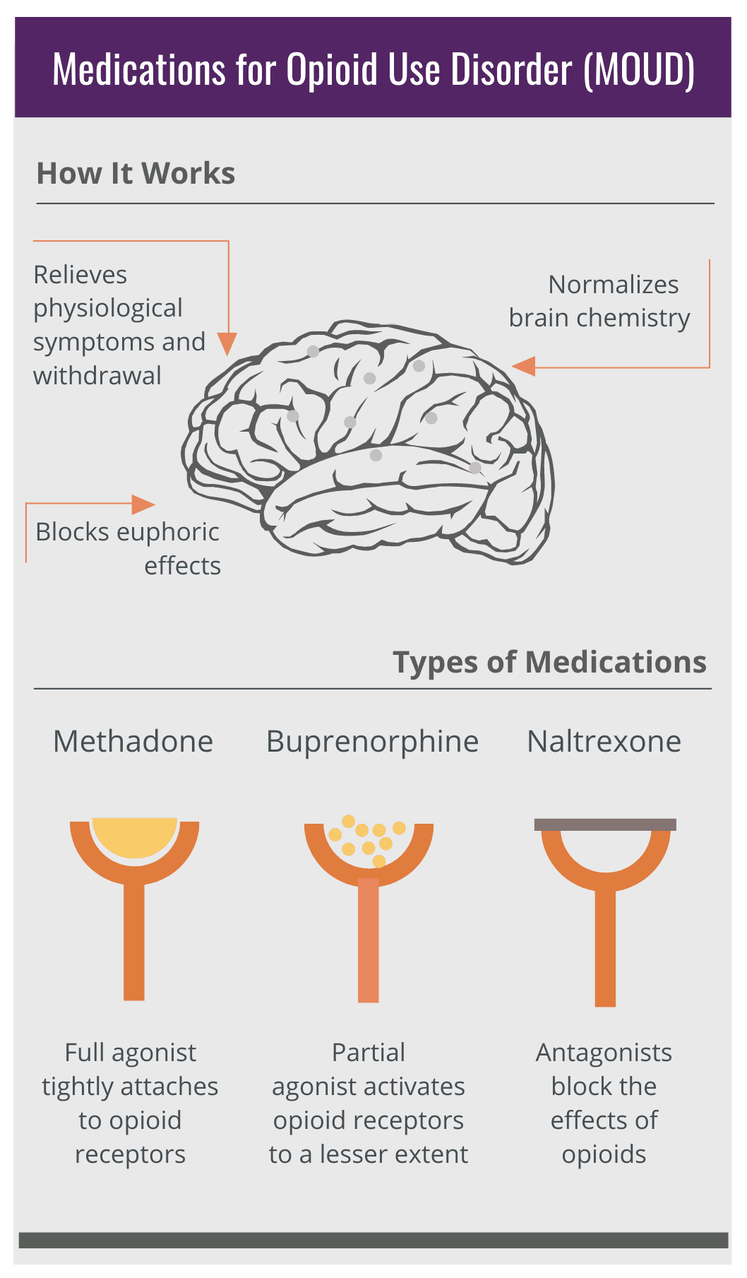 MOUD Inforgraphic